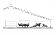 Bâtiment d'engraissement pour bovins de boucherie avec allée d'alimentation centrale - Feuillet technique  10409