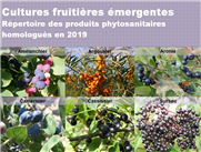 Cultures fruitières émergentes - Répertoire des produits phytosanitaires homologués en 2019