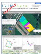 Mise en place d'une application web d'aide à la visualisation et à l'interprétation des analyses de la qualité des sols en culture de pomme de terre