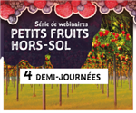 Série de webinaires - Petits fruits hors-sol - Mure