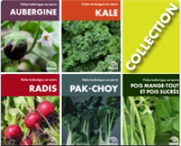 Collection Fiches techniques en serre 2 : Aubergine, Kale, Radis, Pak-choy, Pois mange-tout et pois sucrés (PDF)
