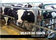Indexation 2022 - Veaux de grain