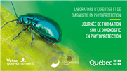 *** DERNIER RAPPEL *** Invitation - Journée de formation du Laboratoire d'expertise et de diagnostic en phytoprotection | 21 mars 2024 | Complexe scientifique | Québec