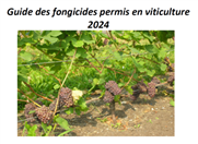 Guide fongicides vigne 2024