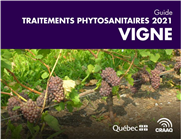 Vigne : Guide des traitements phytosanitaires 2021