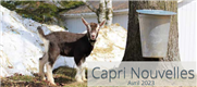 Capri Nouvelle - Bulletin d'informations Avril 2023
