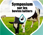 Symposium sur les bovins laitiers