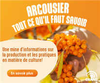 Une page dédiée aux producteurs d'argousiers et aux conseillers!