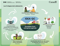 IDEA-QC : Comment mesurer la durabilité des entreprises agricoles?