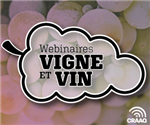 Série Webinaires vigne et vin (1 de 4)