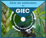 Série de webinaires en GIEC