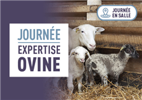 Présentations de la Journée expertise ovine 2024