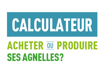 Calculateur: Acheter ou produire ses agnelles?