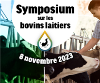 Comparaison entre des vaches issues de la fécondation in vitro et d’autres de l'insémination artificielle : impact sur les critères de fertilité, de santé et de productivité