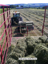 Fertilisation des prairies pour la production du foin de commerce destiné aux chevaux