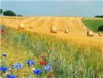 Producteur agricole : un métier à exercer ... avec une grande fierté !