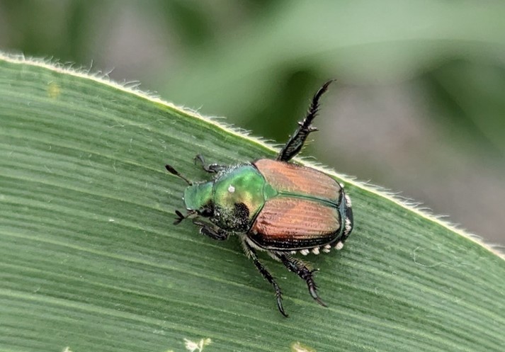 Image Agri-Réseau