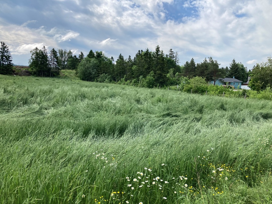 Image Agri-Réseau