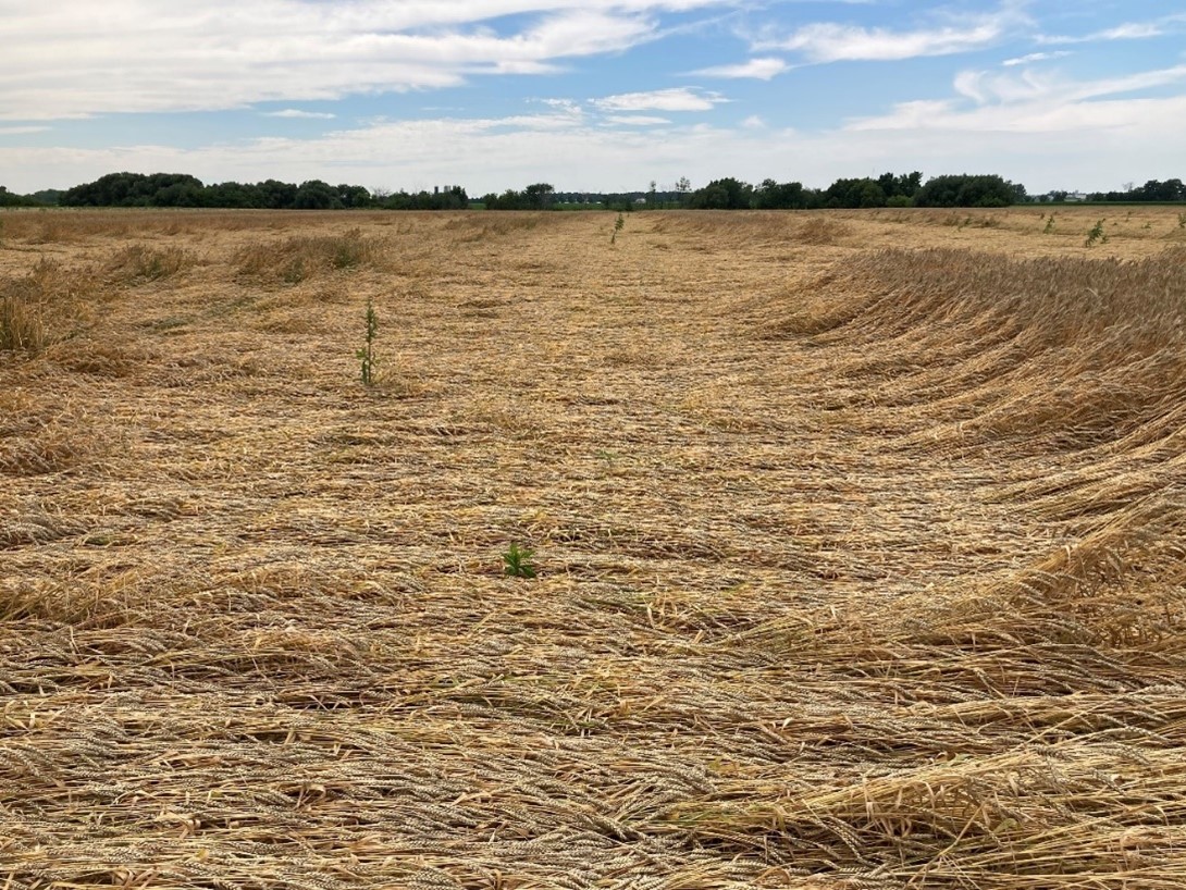 Image Agri-Réseau