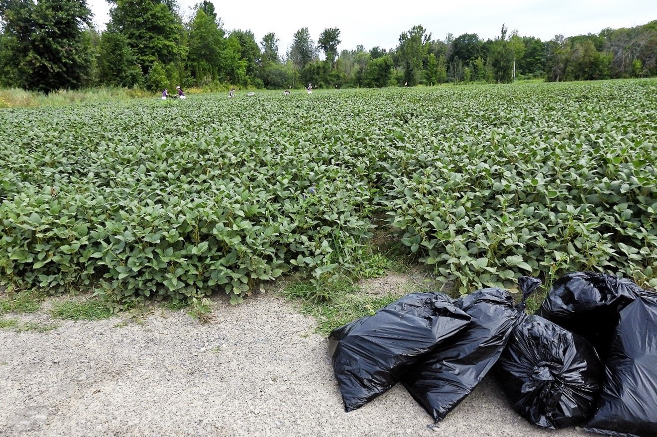 Image Agri-Réseau