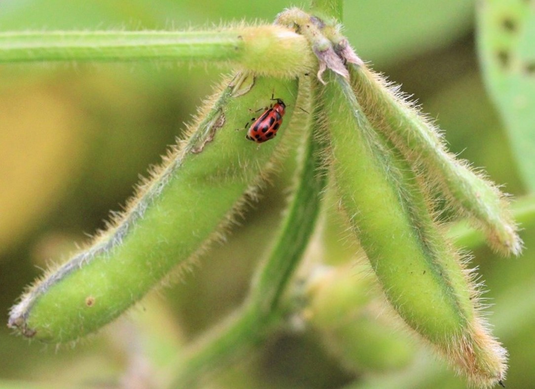 Image Agri-Réseau