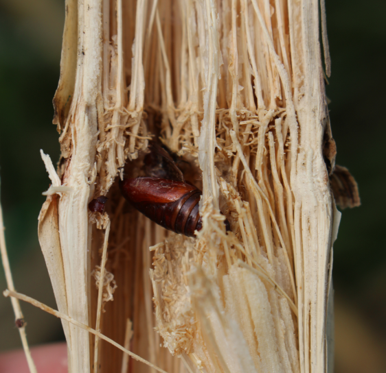 Image Agri-Réseau