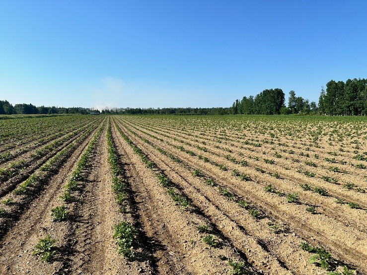 Image Agri-Réseau